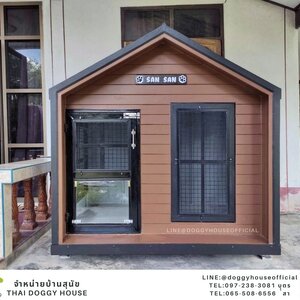 บ้านหมา ทรงจั่ว