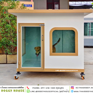 บ้านหมา แบบบ้าน 𝐁𝐎𝐗 𝐒𝐓𝐘𝐋𝐄