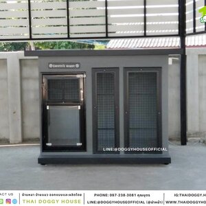 บ้านหมา แบบบ้าน BOX STYLE