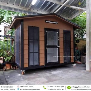 บ้านแมว ทรงจั่ว