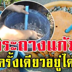 ทำกระถางปลูกแบบไม่รดน้ำ