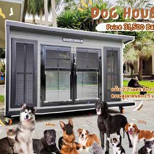 บัานหมา แบบบ้าน Box style