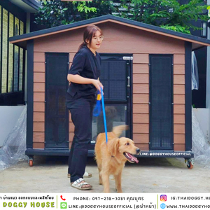 บ้านหมา ติดพัดลม ทรงจั่ว 𝐕𝐢𝐧𝐭𝐚𝐠𝐞 𝐬𝐭𝐲𝐥𝐞