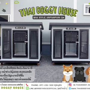 บ้านหมา แบบบ้าน BOX STYLE