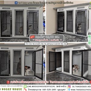 🏡บ้านหมา มี 𝟮 ประตู แบบบ้าน 𝗕𝗢𝗫 𝗦𝗧𝗬𝗟𝗘 🦮🐾