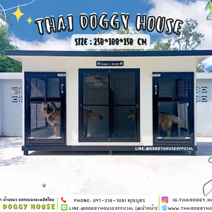 บ้านหมา แบบบ้าน 𝑩𝑶𝑿 𝑺𝑻𝒀𝑳𝑬