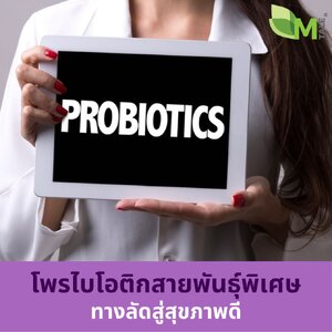 โพรไบโอติกส์ Bacillus Coagulans