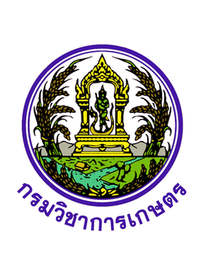 กรมวิชาการเกษตร เปิดรับสมัครสอบเป็นพนักงานราชการทั่วไป 3 อัตรา รับสมัครด้วยตนเอง ตั้งแต่วันที่ 1 - 5 สิงหาคม 2565