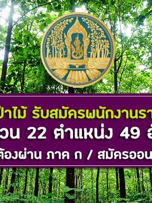 กรมป่าไม้ เปิดรับสมัครสอบเป็นพนักงานราชการ จำนวน 49 อัตรา รับสมัครทางอินเทอร์เน็ต ตั้งแต่วันที่ 13 - 20 ธันวาคม 2562