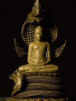 ขอเชิญสั่vจovพระพุทธธรรมวิมุติสุขนาคาสถิต