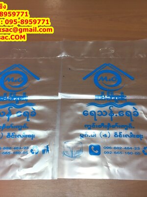 ถุงน้ำแข็ง