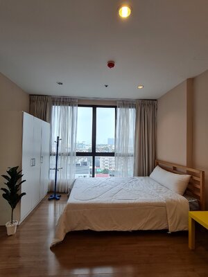 The Tree Interchange