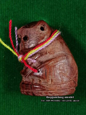 พยัคฆ์กันภัย (3) รุ่นไตรมาส 59 พระอาจารย์สุรเจตน์ วัดหนองหิน กาญจนบุรี เนื้อไม้พยุง ตะกรุดเงิน ปี 2559