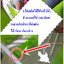 โต๊ะคอมพิวเตอร์ โต๊ะอ่านหนังสือ โต๊ะคอมแฟนซี-0050332