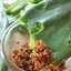 พันธุ์กระบองเพชรกินได้สายพันธุ์ โอ.ฟิคัสอินดิก้าอินเนอมิส O. Ficus Indica var Inermis ขนาดมาตรฐาน 3 ขนาด ตัดสดทาเร่งราก