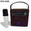 ลำโพงบลูทูธ คาราโอเกะ BTS-1866 พร้อมไมค์ไร้สาย1 อัน กระทัดรัด พกพาง่าย - เสียงดี เบสหนัก ปรับ ECHO ได้