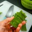 พันธุ์กระบองเพชรกินได้สายพันธุ์ โอ.ฟิคัสอินดิก้าอินเนอมิส O. Ficus Indica var Inermis ขนาดมาตรฐาน 3 ขนาด ตัดสดทาเร่งราก