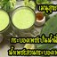 พันธุ์ "มะรุ่ง" No.2B รหัส" DC-PA-B1-5 กระบองเพชรกินได้ สายพันธุ์โอพันเทียฟิคัสอินดิก้า-เดคูมานา Opuntia Ficus Indica var Decumana 5 ขนาด ตัดสด