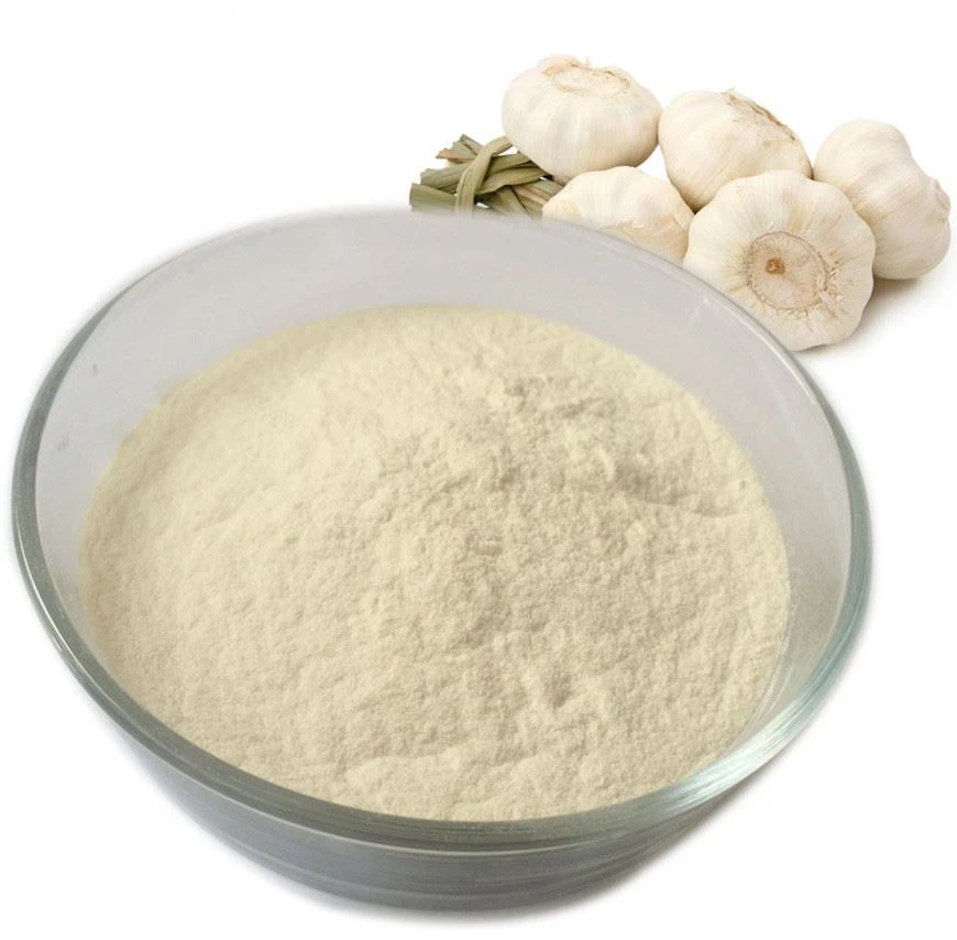 กระเทียมป่น ตรามือ No.1 Hand Brand Garlic Powder 500 g. (05-1505)